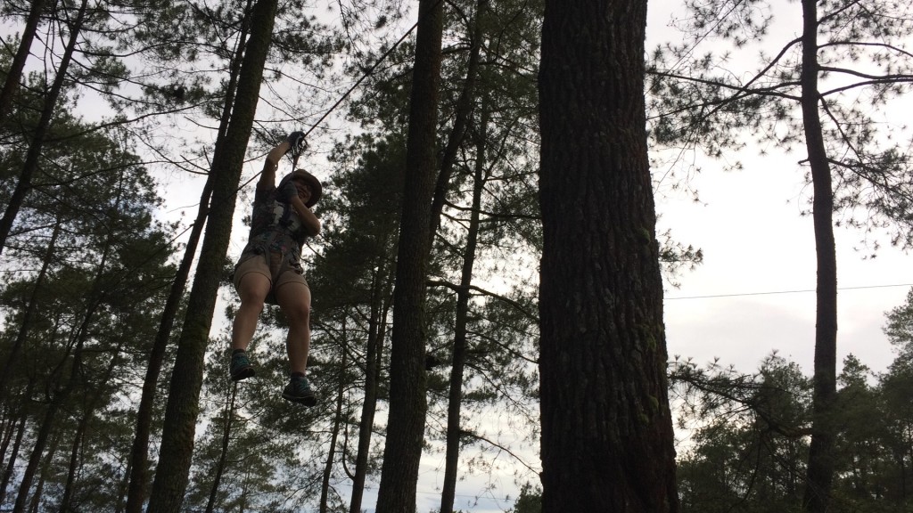 end of my adventure at treetop