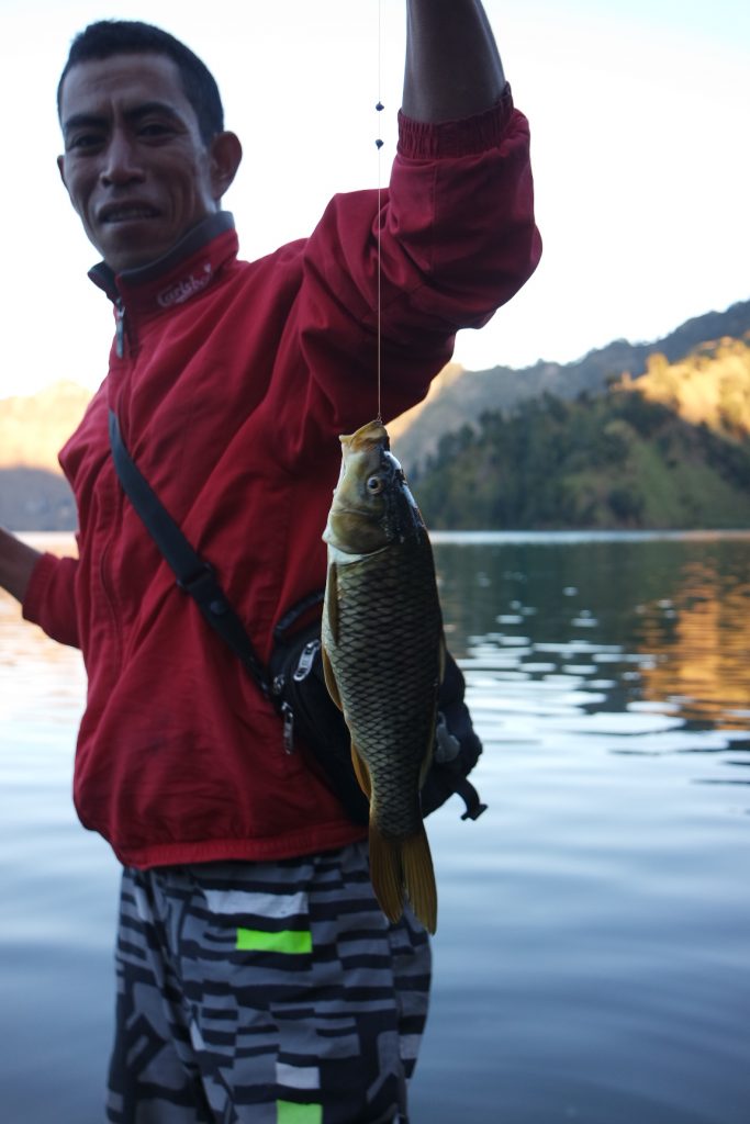 Hasil memancing di Danau Segara Anak